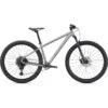Specialized Rockhopper Expert 29 SILDST/BLKHLG